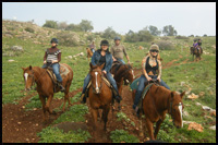 israel horse riding